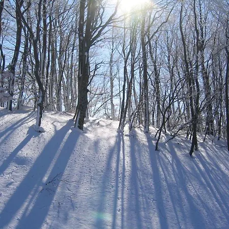 Tasia Mountain Отель Ханья