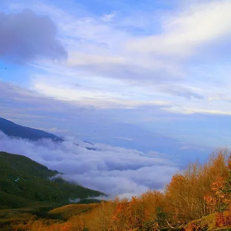 Tasia Mountain