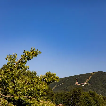 Tasia Mountain Hotel Chania (Thessaly)