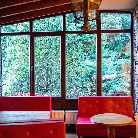 Tasia Mountain هانيا