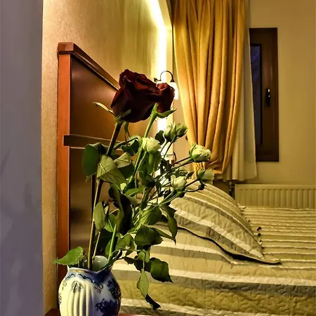 Tasia Mountain هانيا